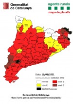 Millora la situació pel que fa al risc extrem d'incendis a Catalunya, però cal mantenir la màxima precaució